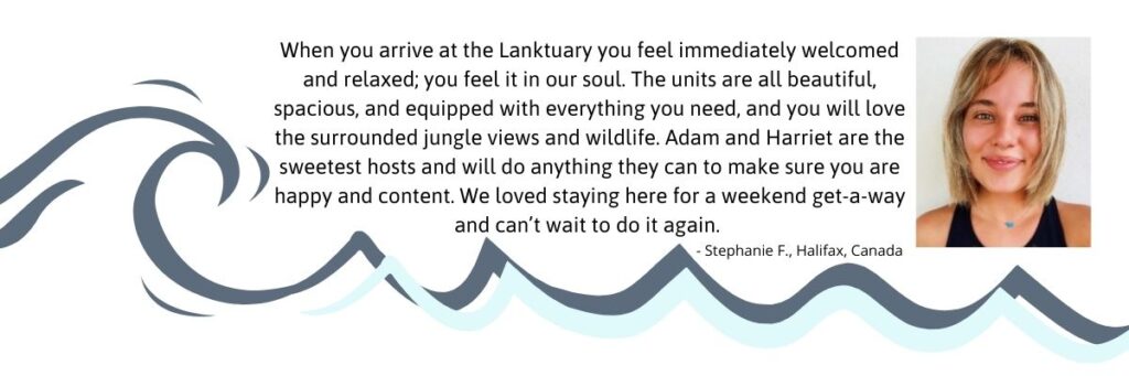 You will feel welcomed at The Lanktuary